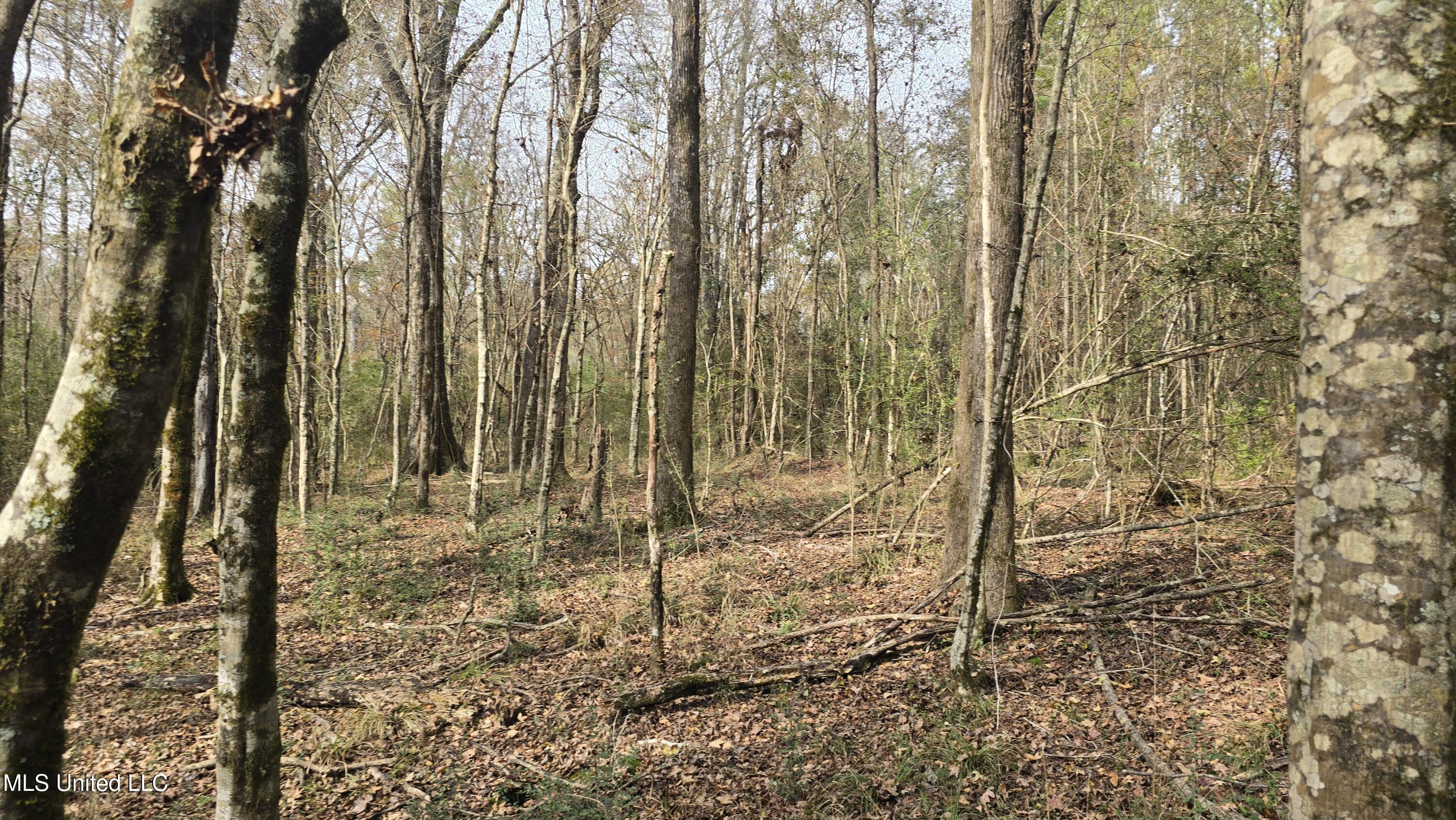 92 Price Road Jayess, MS 39641 - Photo 28 of 48 20251216_120633