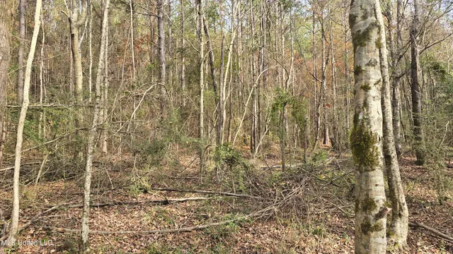 $165,000 | 92 Price Road, Jayess, MS 39641