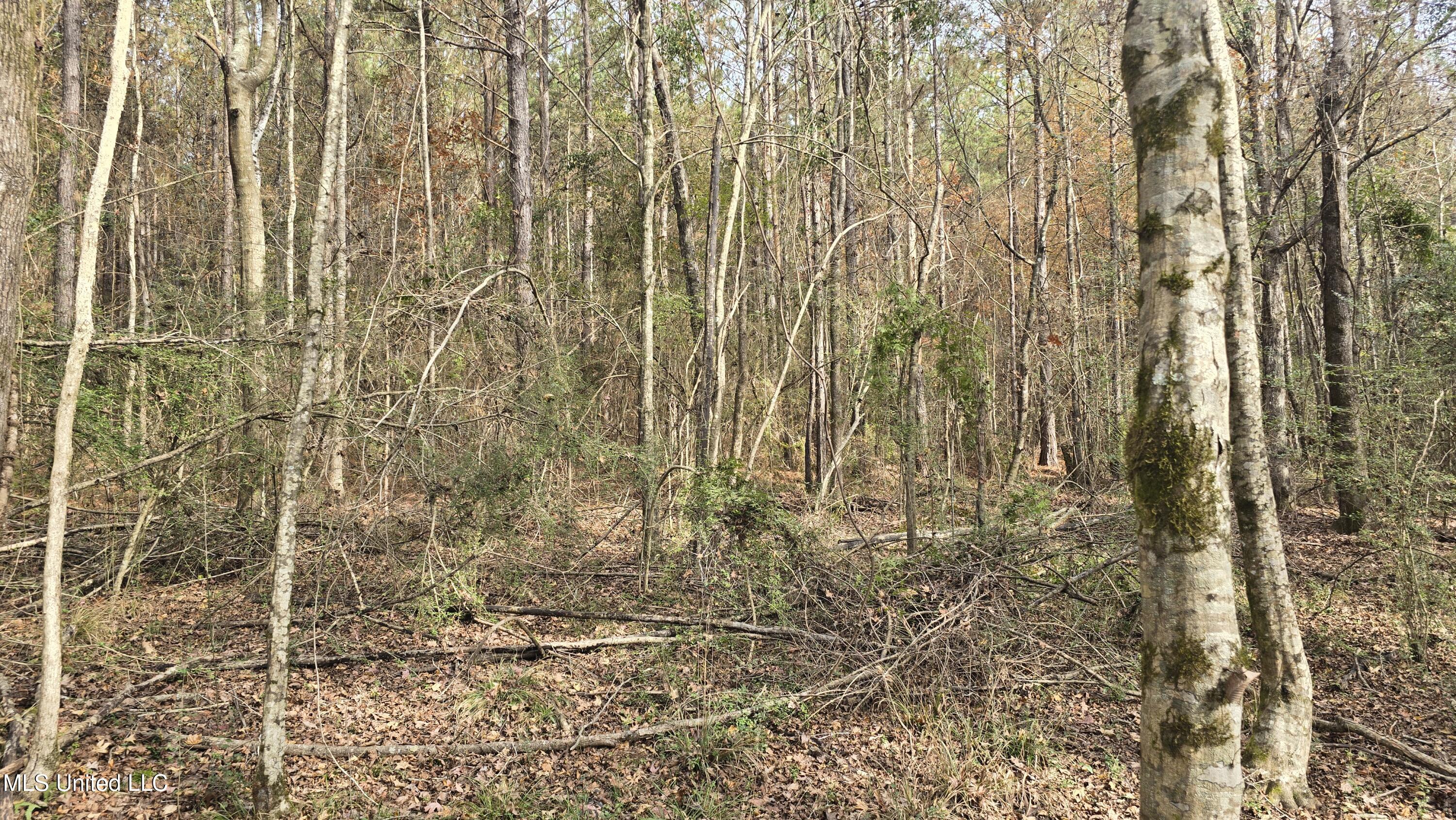 92 Price Road Jayess, MS 39641 - Photo 29 of 48 20251216_120648