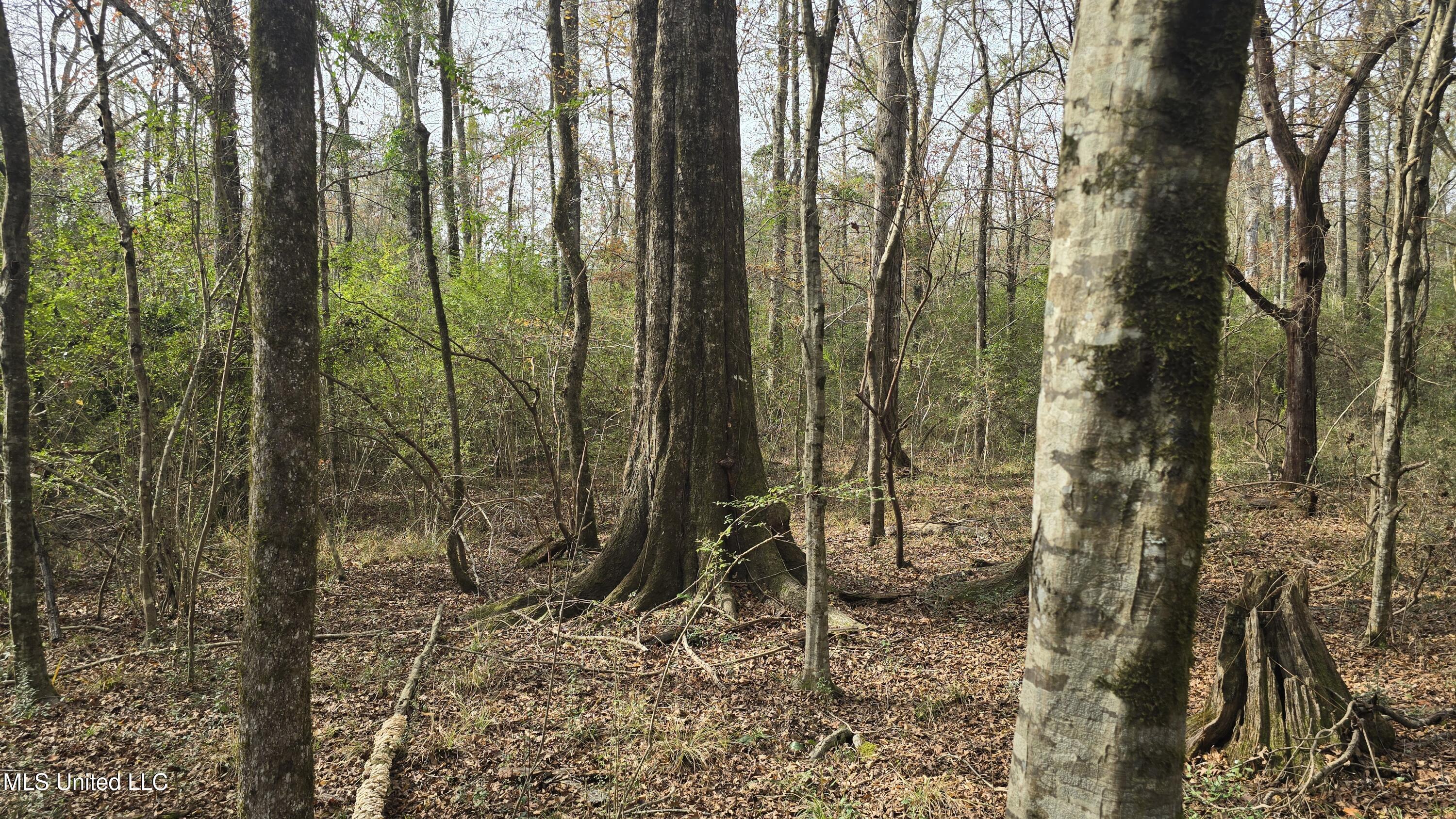 92 Price Road Jayess, MS 39641 - Photo 30 of 48 20251216_120724