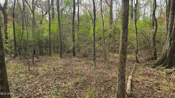 $165,000 | 92 Price Road, Jayess, MS 39641