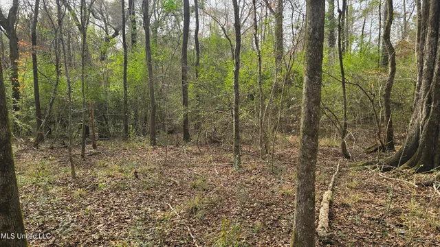 $165,000 | 92 Price Road, Jayess, MS 39641