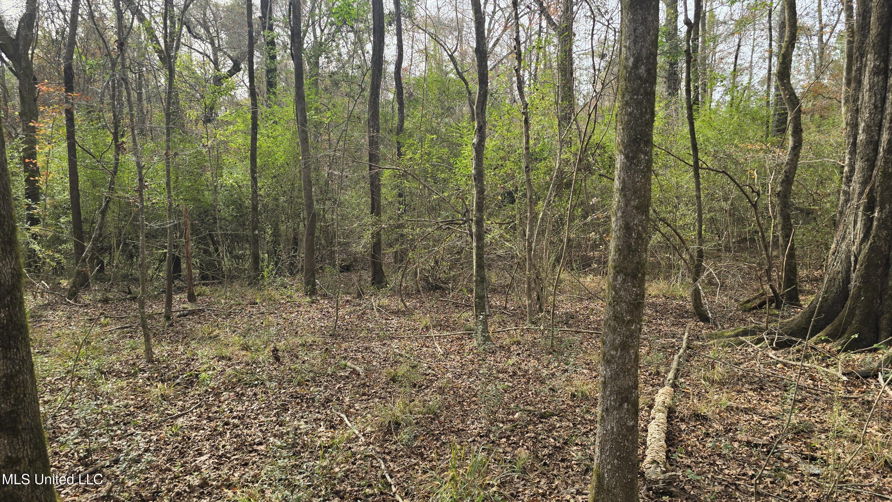 92 Price Road Jayess, MS 39641 - Photo 31 of 48 20251216_120726