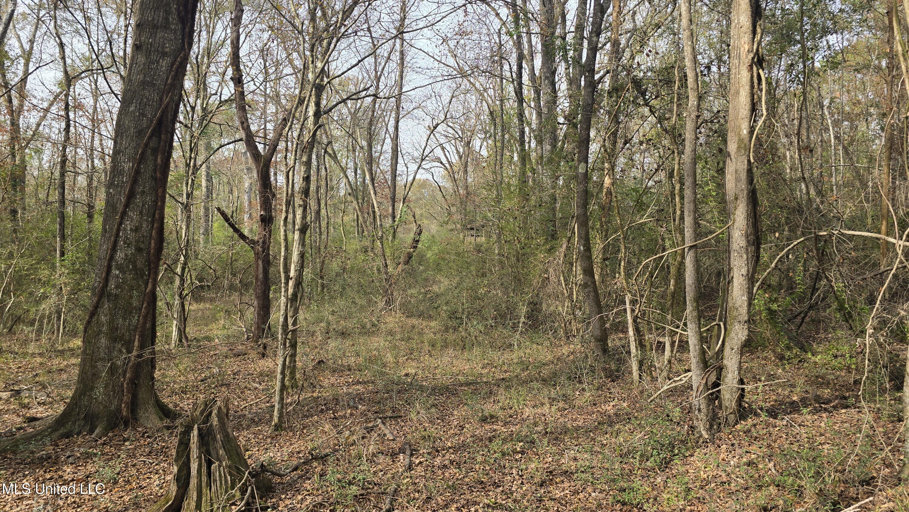 92 Price Road Jayess, MS 39641 - Photo 32 of 48 20251216_120729