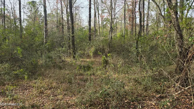 $165,000 | 92 Price Road, Jayess, MS 39641