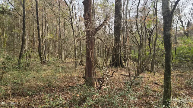 $165,000 | 92 Price Road, Jayess, MS 39641