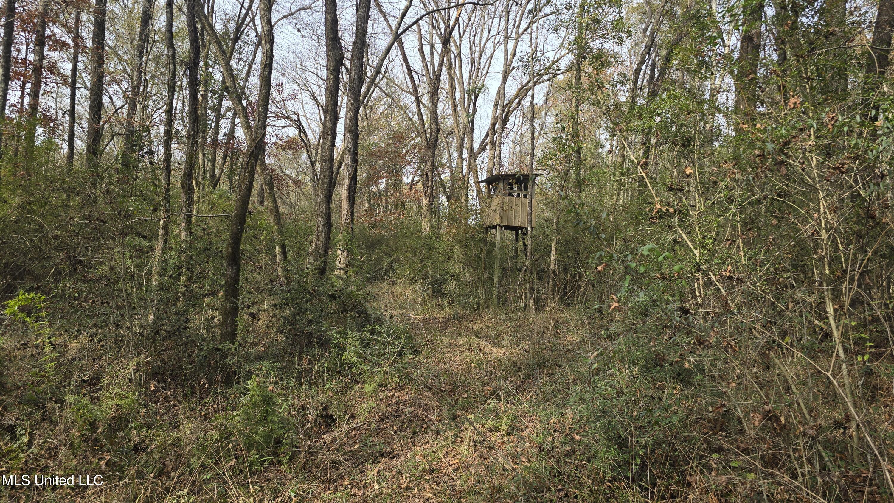 92 Price Road Jayess, MS 39641 - Photo 35 of 48 20251216_120826