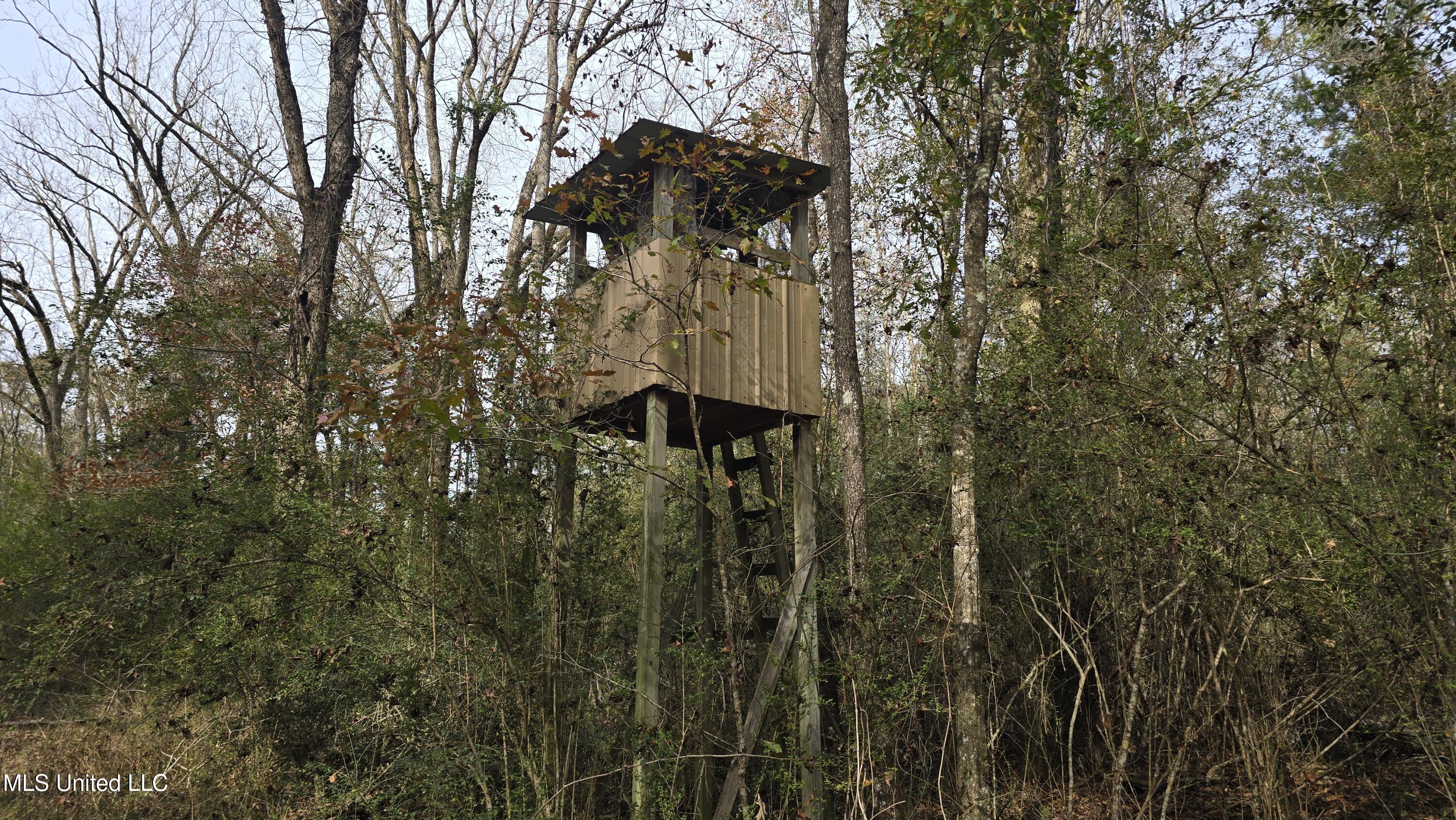 92 Price Road Jayess, MS 39641 - Photo 36 of 48 20251216_120853