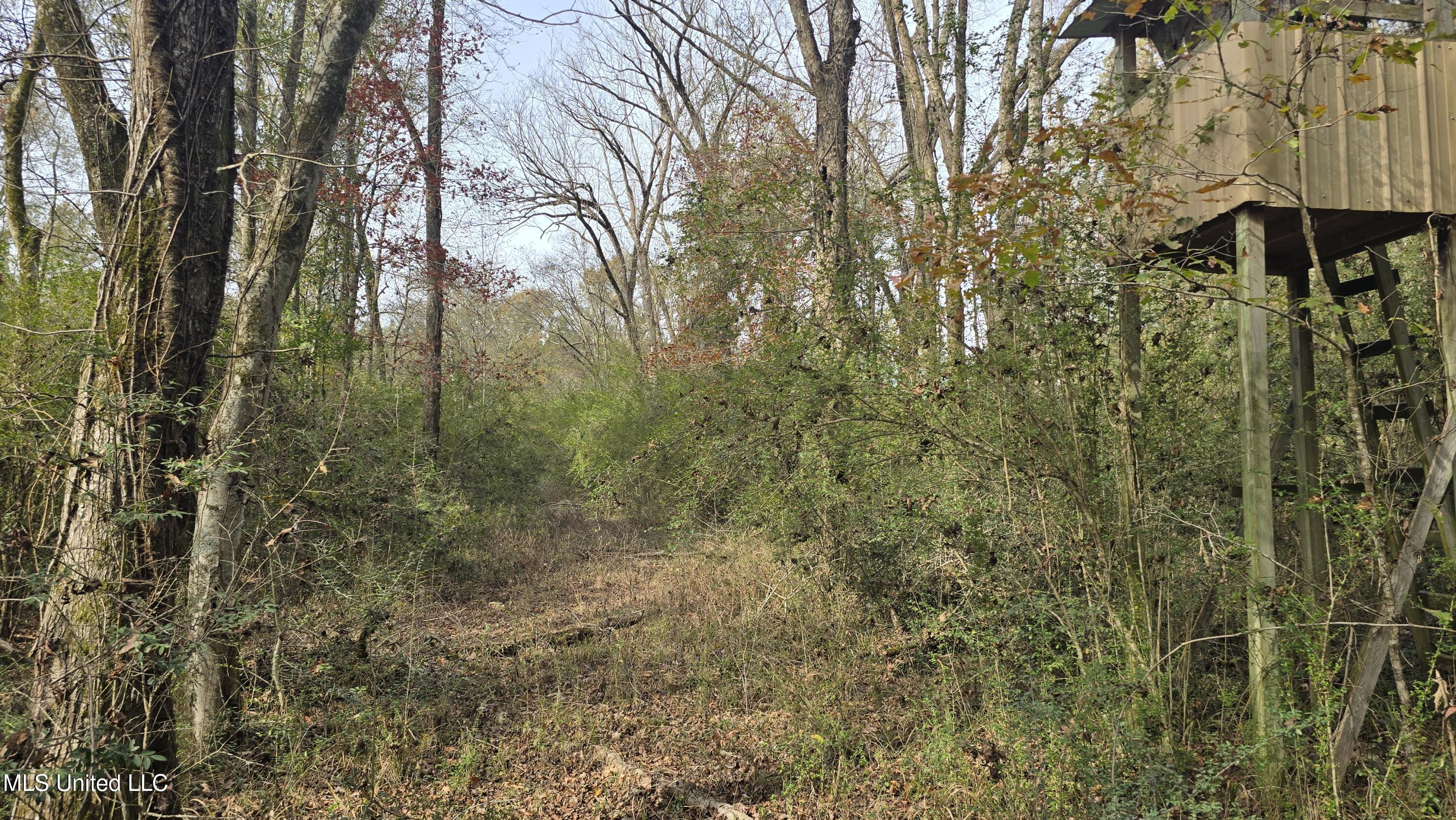 92 Price Road Jayess, MS 39641 - Photo 37 of 48 20251216_120858