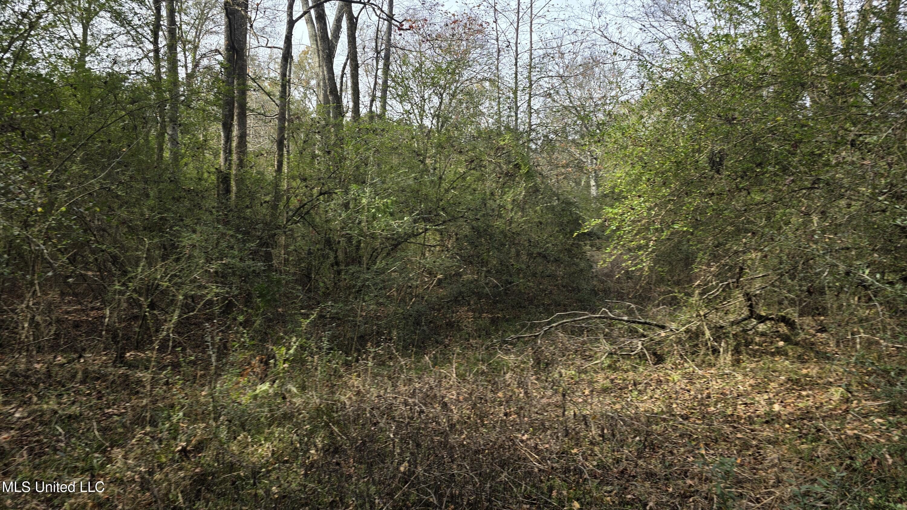 92 Price Road Jayess, MS 39641 - Photo 38 of 48 20251216_121011