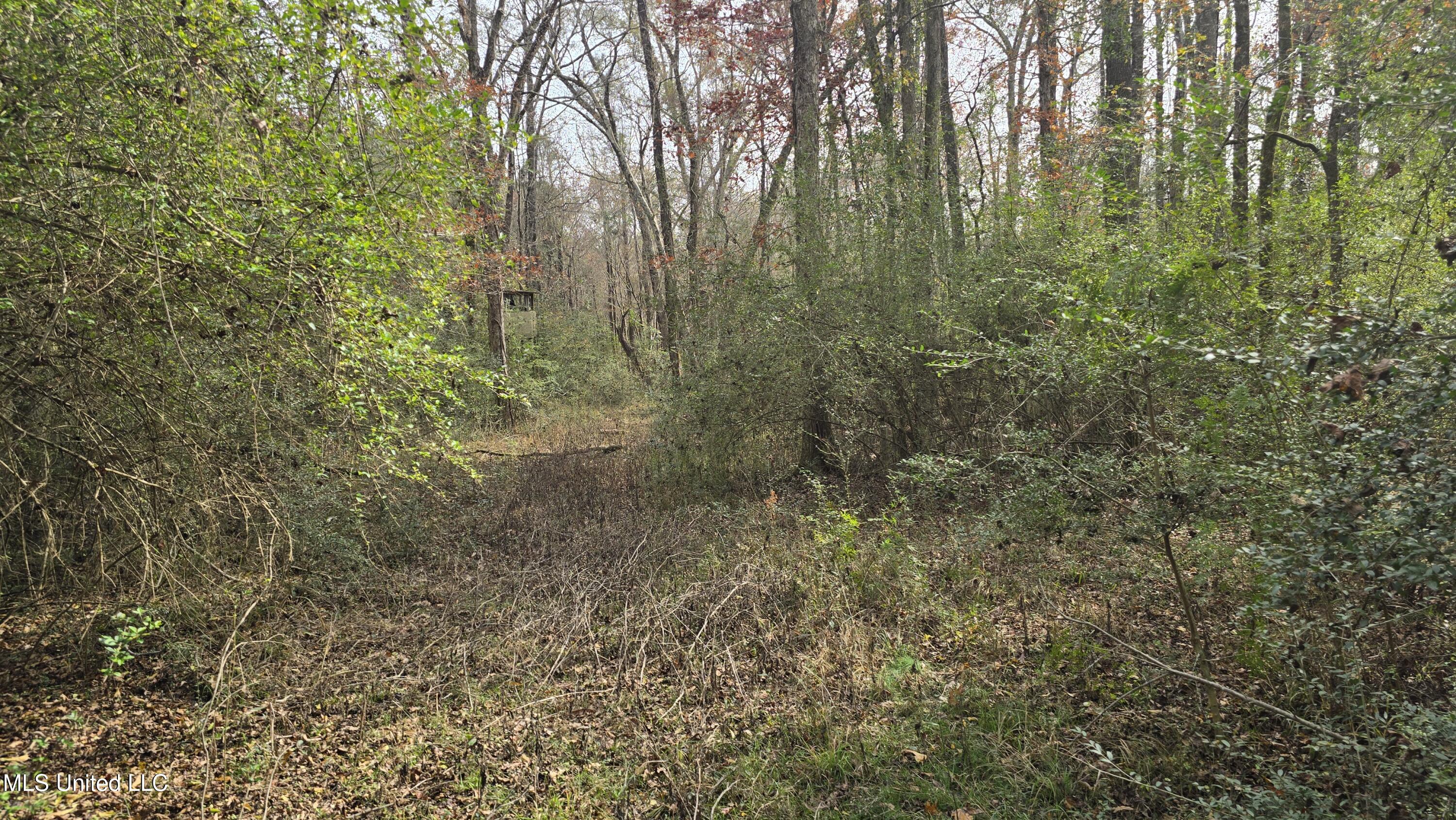 92 Price Road Jayess, MS 39641 - Photo 39 of 48 20251216_121045