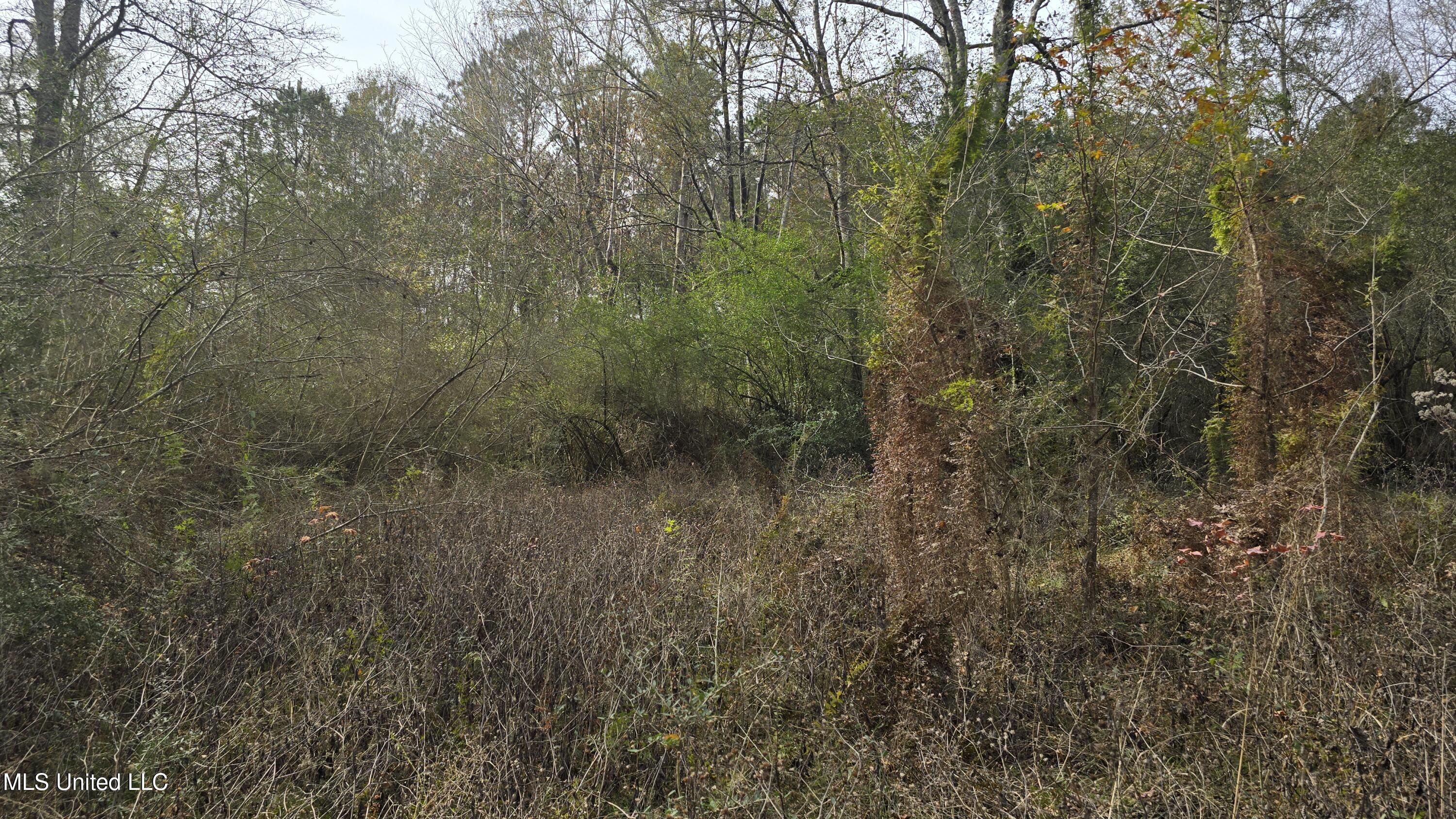 92 Price Road Jayess, MS 39641 - Photo 41 of 48 20251216_121129