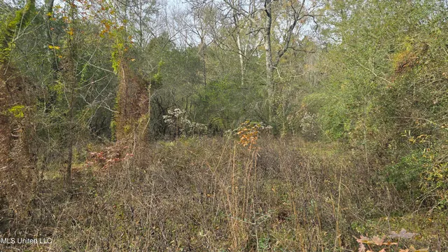 $165,000 | 92 Price Road, Jayess, MS 39641