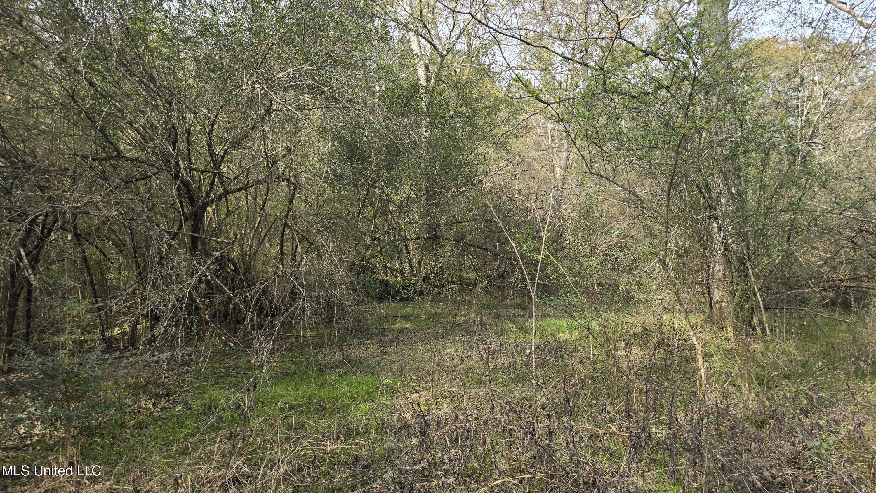 92 Price Road Jayess, MS 39641 - Photo 43 of 48 20251216_121156