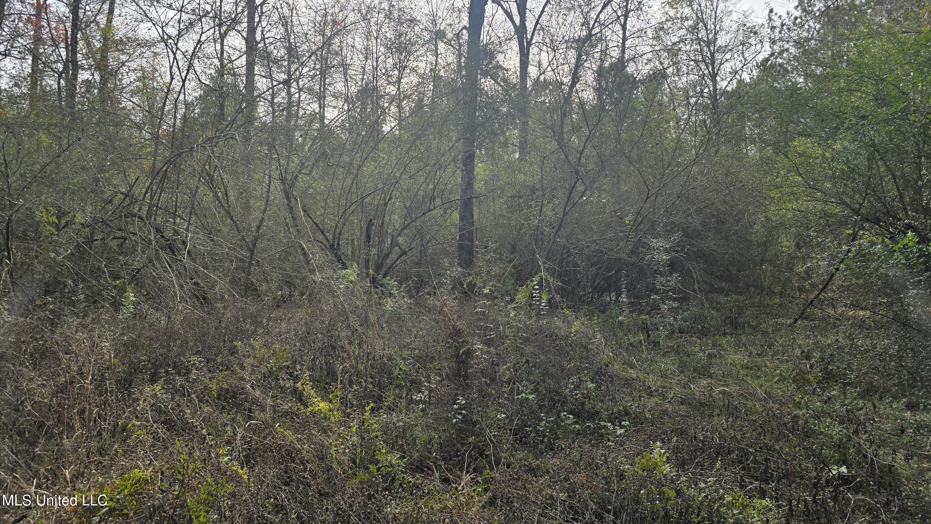 92 Price Road Jayess, MS 39641 - Photo 44 of 48 20251216_121159