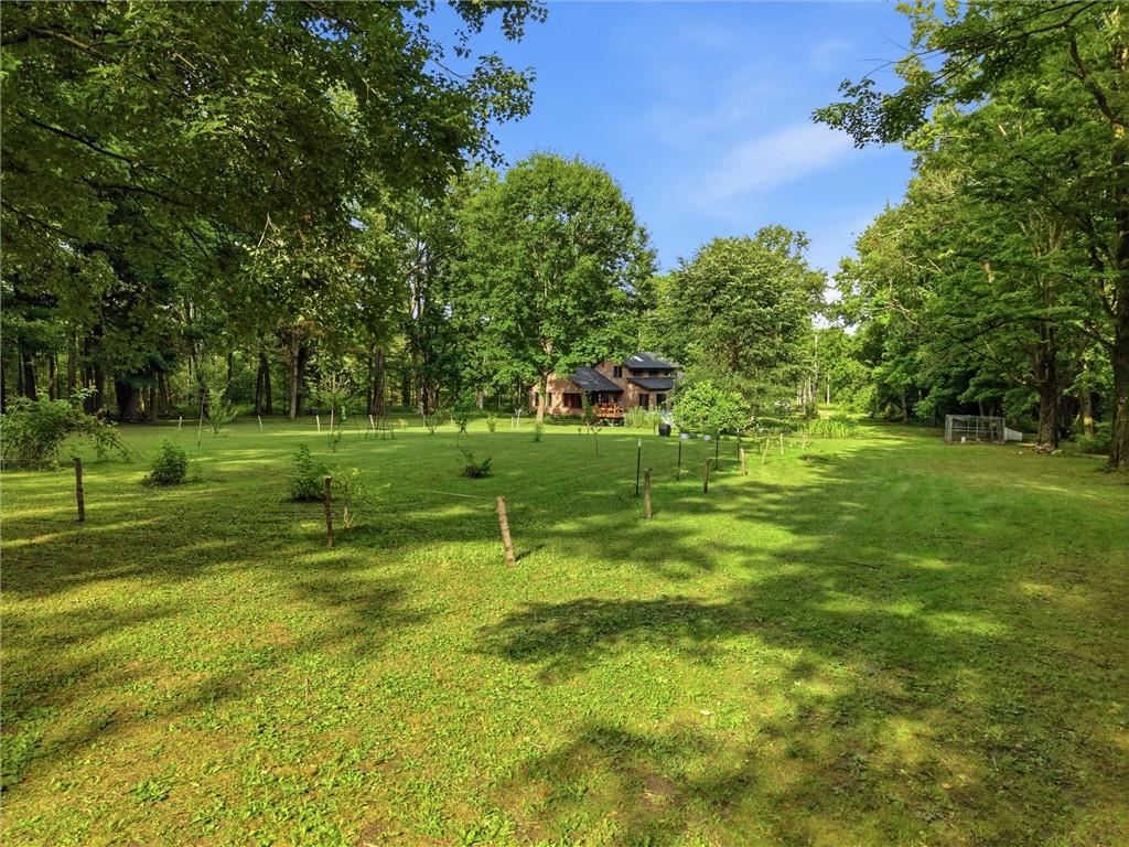 21117 Bechtold Road Saegertown, PA 16433 - Photo 33 of 50 Gallery Image 33