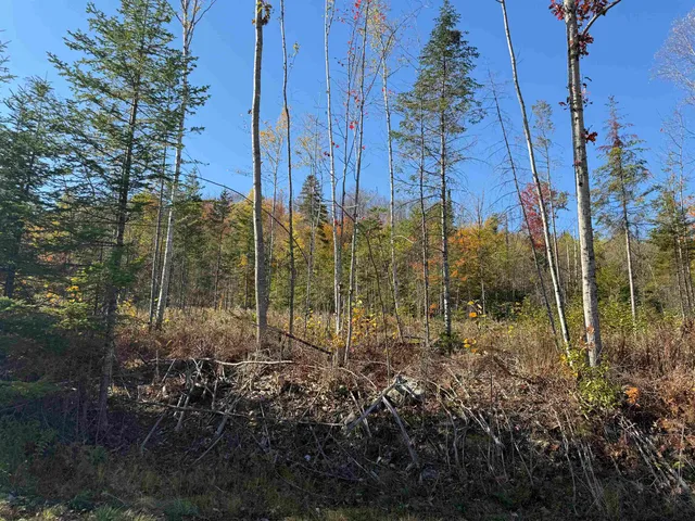 $69,000 | Lot 24 Hartco Avenue, Lancaster, NH 03584