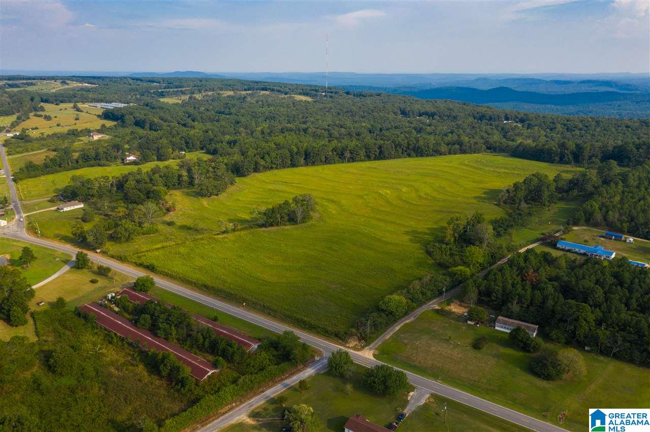 0 County Road 27, Unit 46 ACRES Springville, AL 35146 - Photo 8 of 11