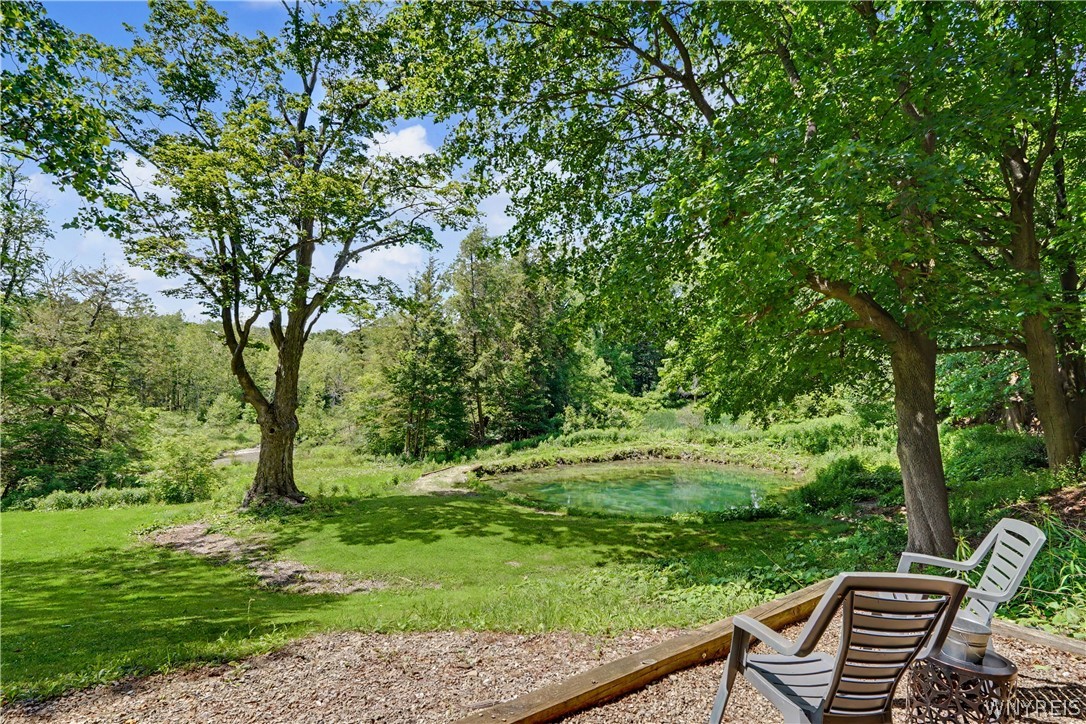 66 Grove Street Delevan, NY 14042 - Photo 41 of 50