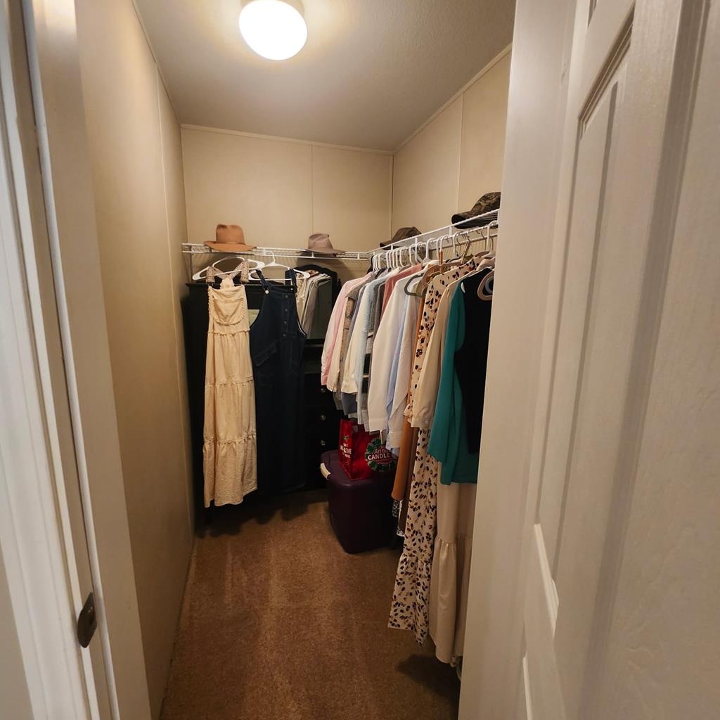 786 Blackberry Road Baconton, GA 31716 - Photo 32 of 67 Gallery Image 32