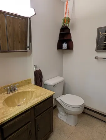 a bathroom with a toilet a sink and vanity