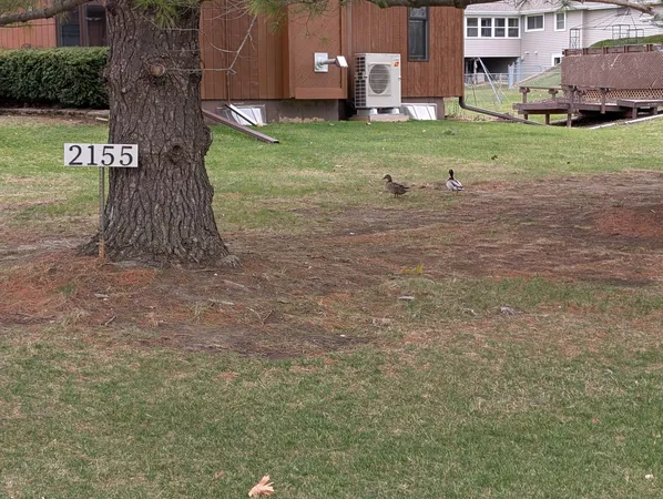 a view of a yard with a house