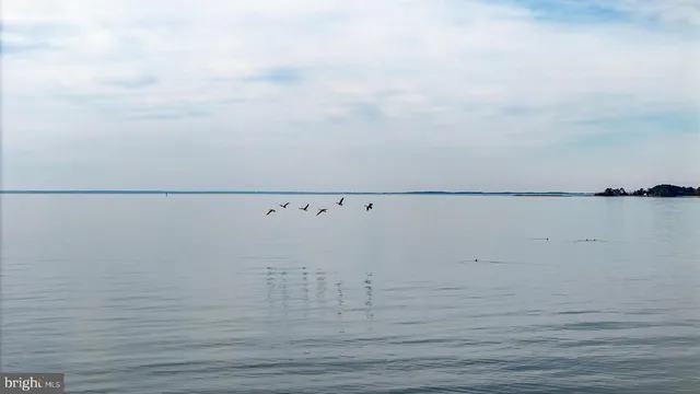 $995,000 | 26361 Chanticleer Road, Oxford, MD 21654