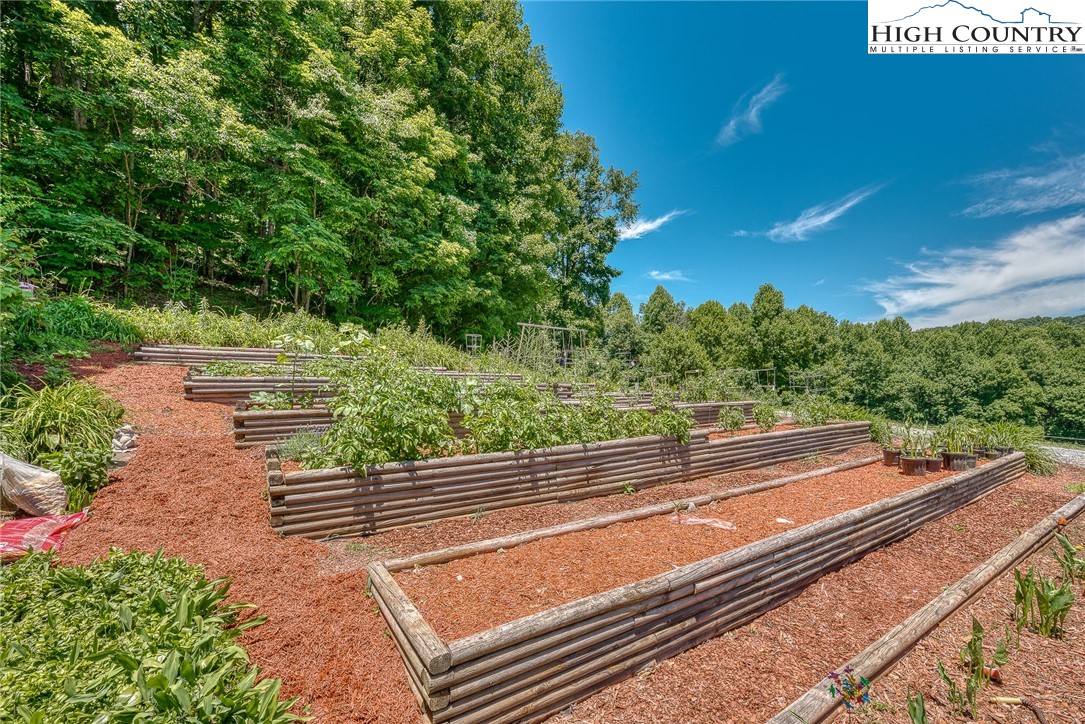 363 Misty Mountain Road Boone, NC 28607 - Photo 14 of 50 a view of a yard with plants and a bench