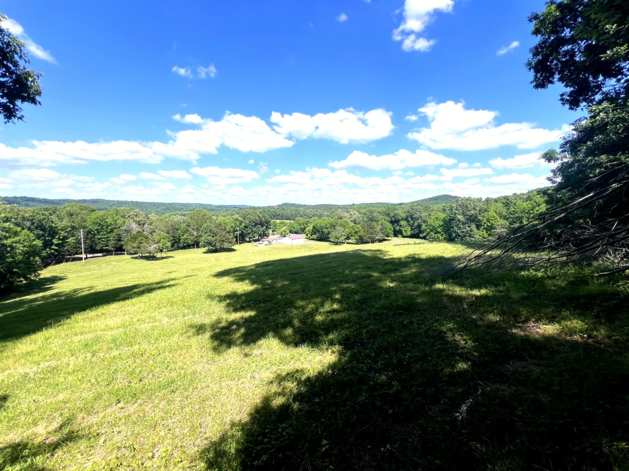 1133 Culps Bend Road Clifton, TN 38425 - Photo 49 of 51 a view of an outdoor space and a yard
