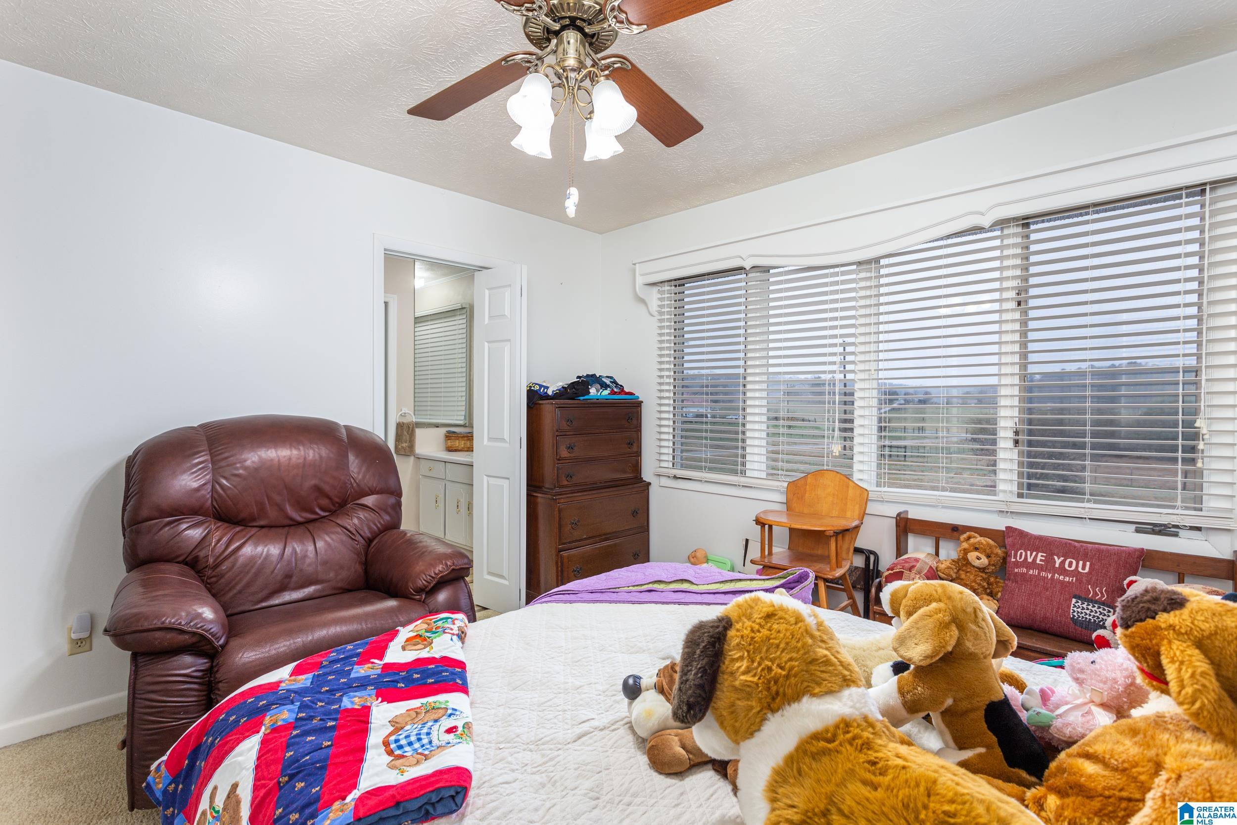 868 Old Field Road Jacksonville, AL 36265 - Photo 20 of 39