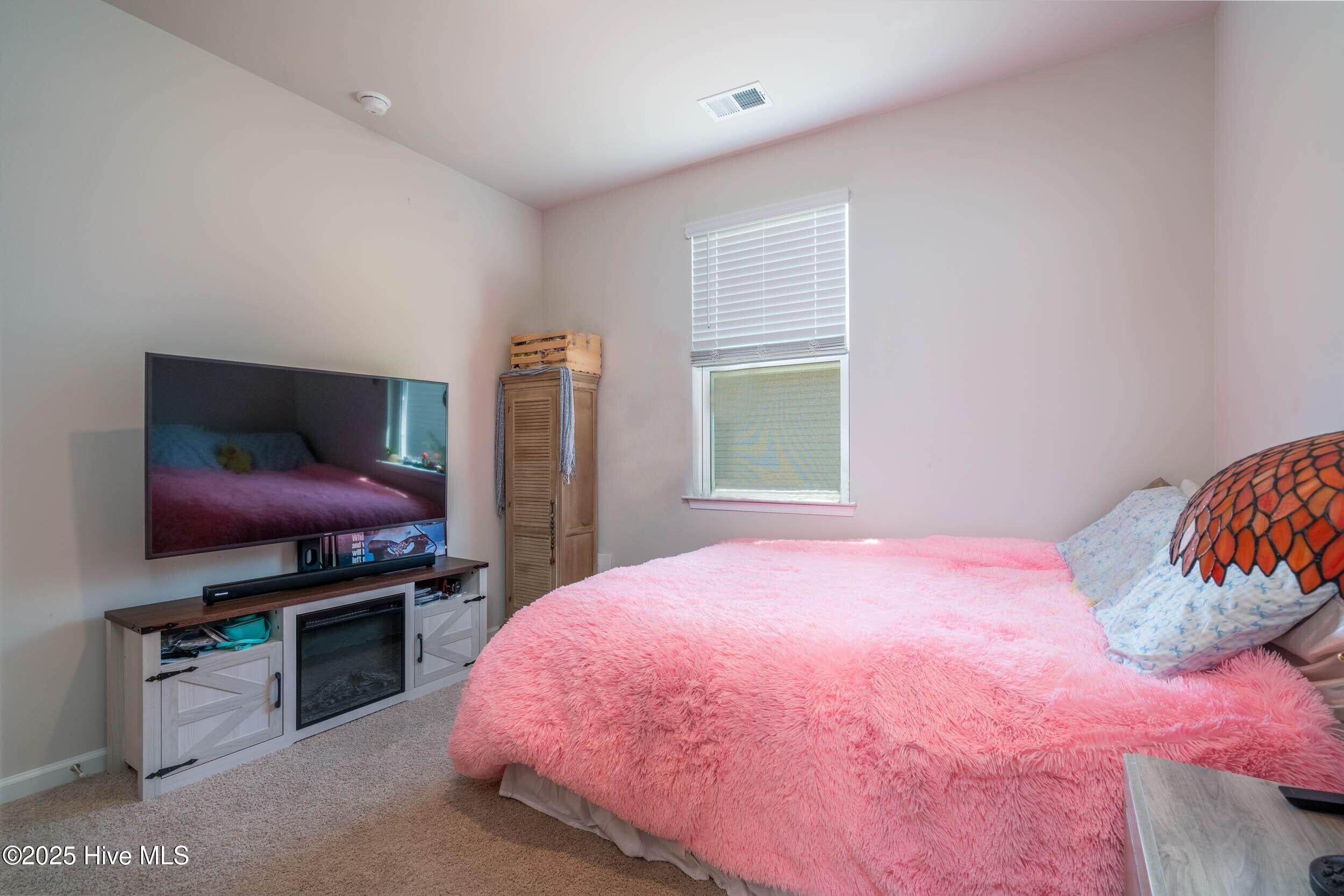 1227 Rippling Cove Loop Southwest Supply, NC 28462 - Photo 22 of 43 Second Guest Bedroom Down