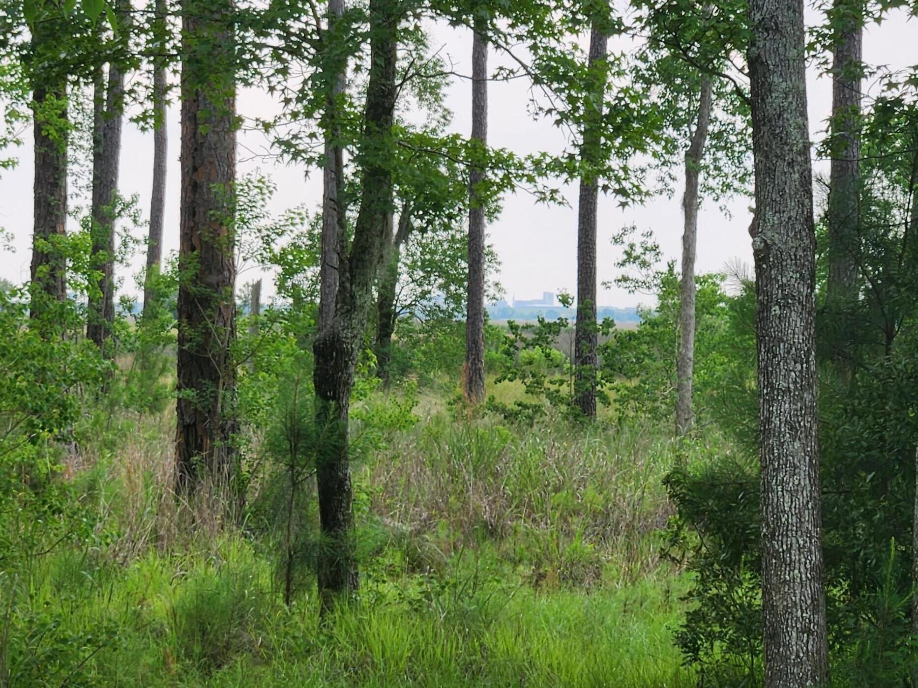 0 Bridal Path Boulevard Hardeeville, SC 29927 - Photo 13 of 36 20230608_151210