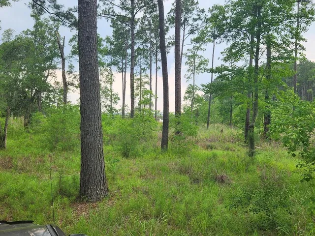 $155,000 | 0 Bridal Path Boulevard, Hardeeville, SC 29927