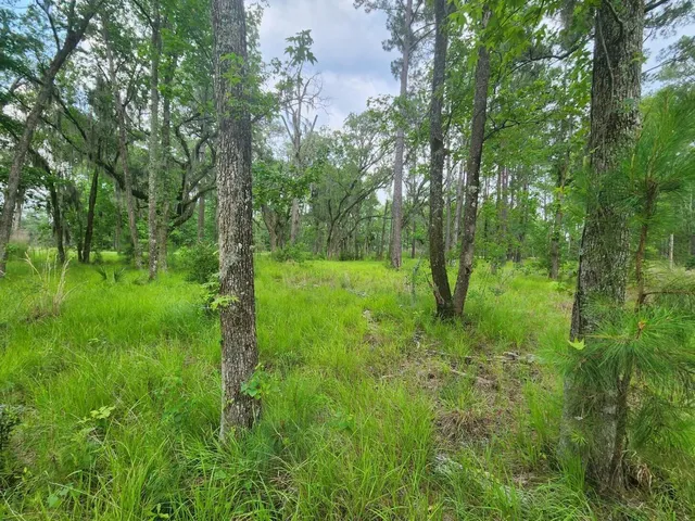 $155,000 | 0 Bridal Path Boulevard, Hardeeville, SC 29927