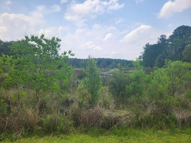 $155,000 | 0 Bridal Path Boulevard, Hardeeville, SC 29927