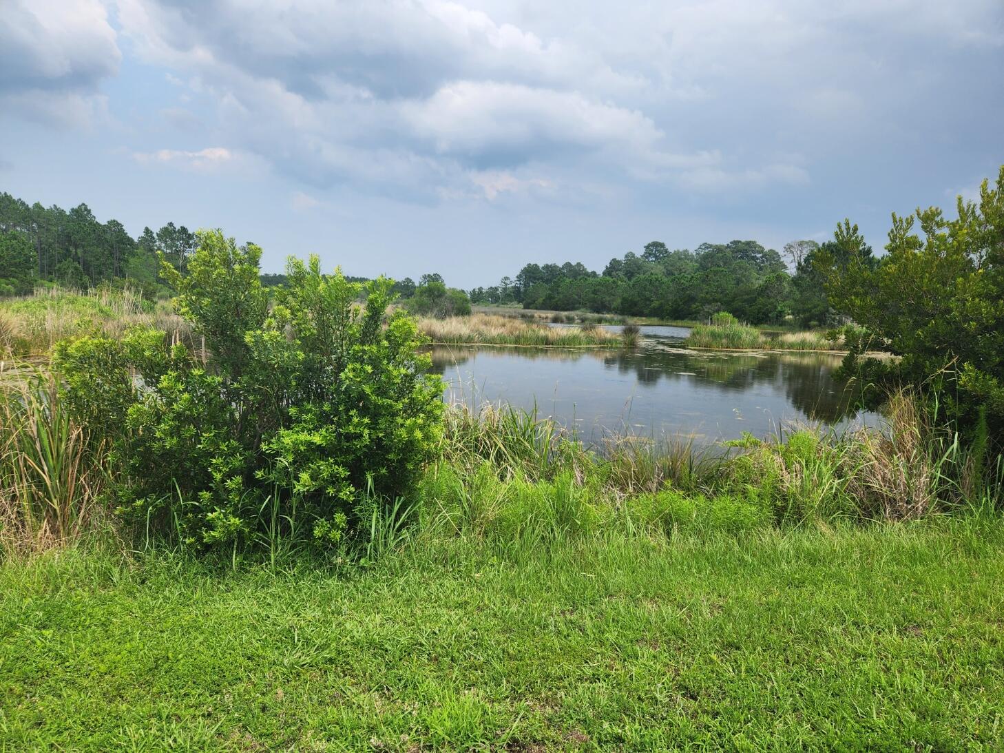 0 Bridal Path Boulevard Hardeeville, SC 29927 - Photo 17 of 36 20230608_153031