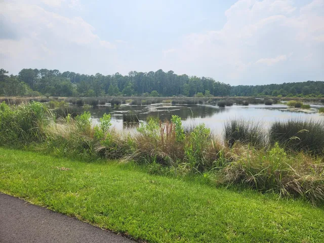 $155,000 | 0 Bridal Path Boulevard, Hardeeville, SC 29927