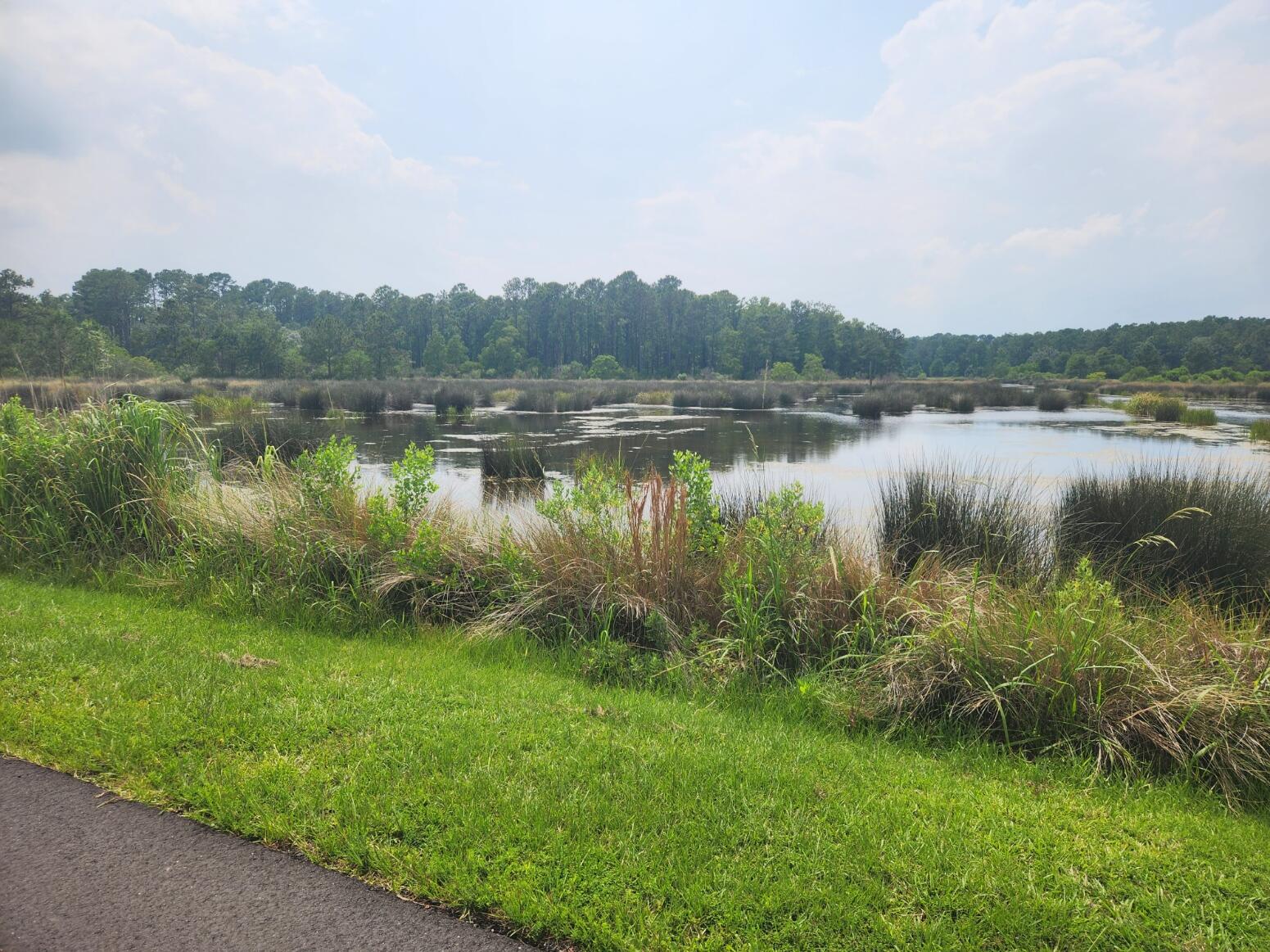 0 Bridal Path Boulevard Hardeeville, SC 29927 - Photo 18 of 36 20230608_153050