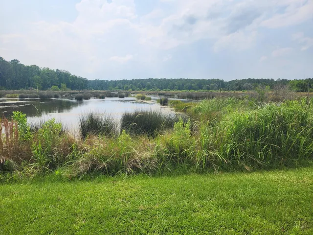 $155,000 | 0 Bridal Path Boulevard, Hardeeville, SC 29927