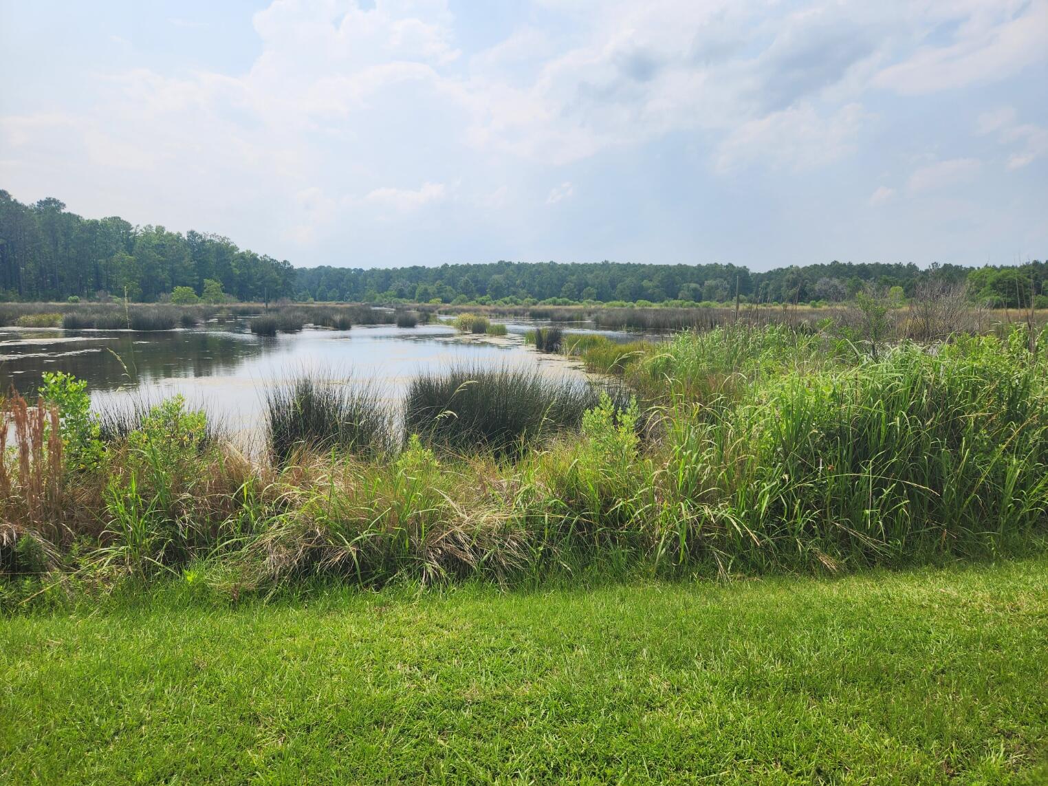 0 Bridal Path Boulevard Hardeeville, SC 29927 - Photo 19 of 36 20230608_153052