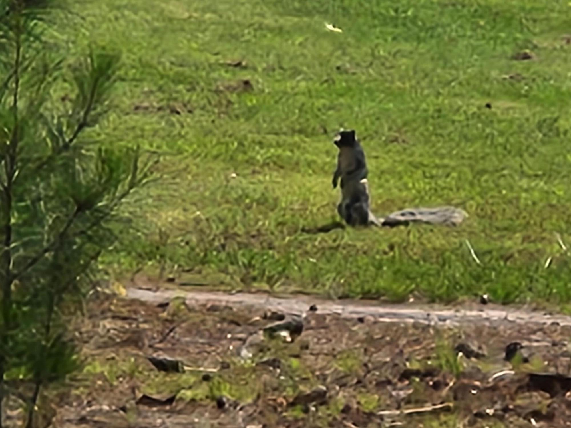 0 Bridal Path Boulevard Hardeeville, SC 29927 - Photo 20 of 36 20230608_153347