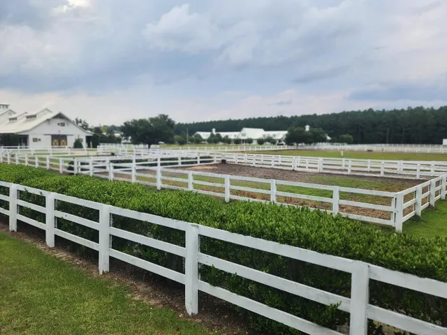 $155,000 | 0 Bridal Path Boulevard, Hardeeville, SC 29927