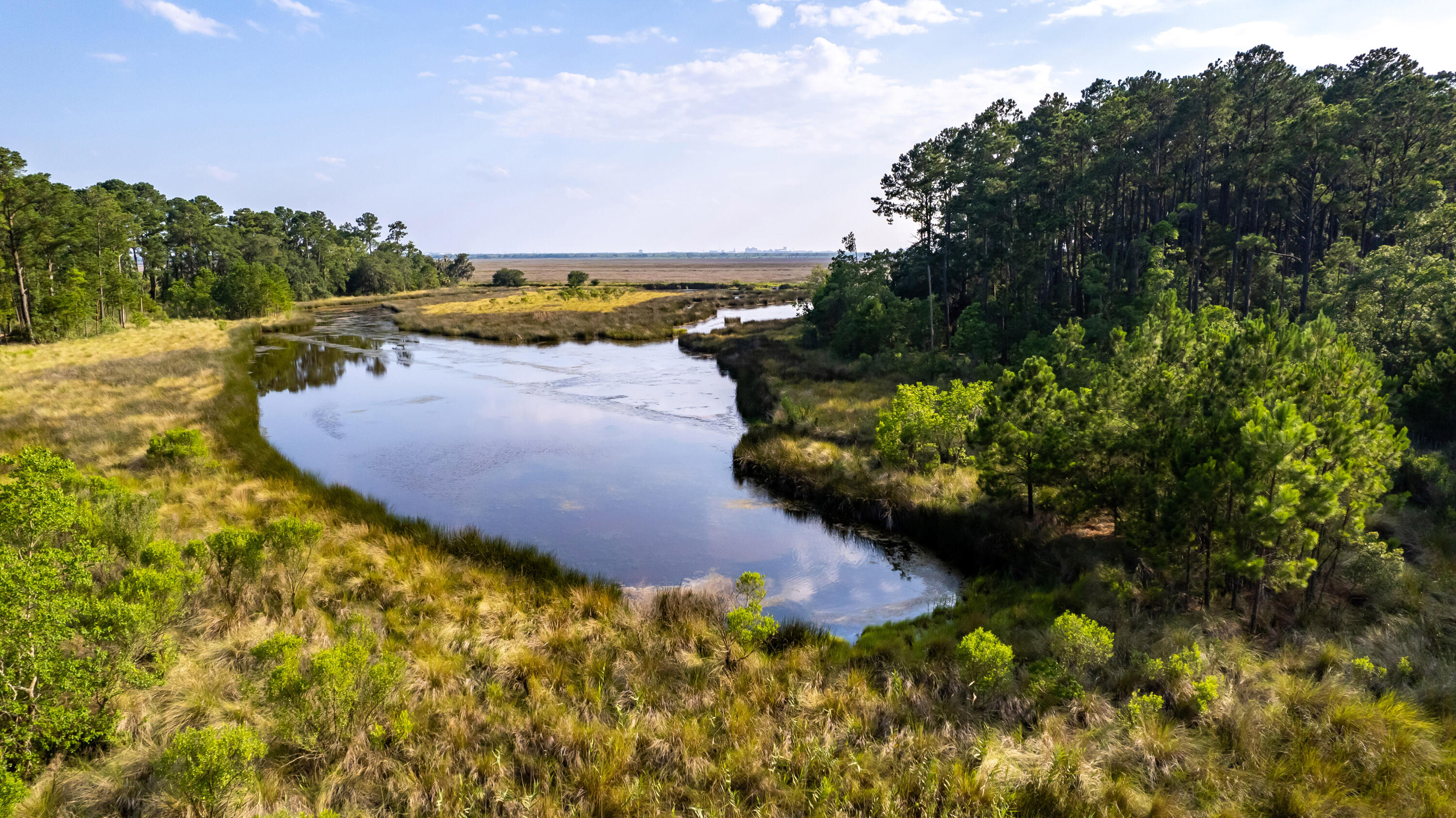 0 Bridal Path Boulevard Hardeeville, SC 29927 - Photo 36 of 36 20