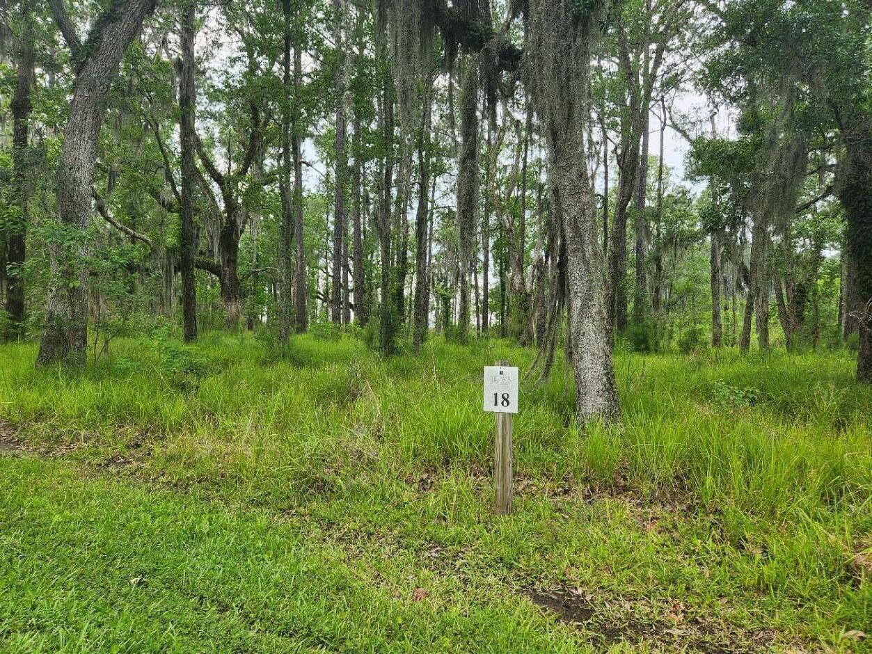 0 Bridal Path Boulevard Hardeeville, SC 29927 - Photo 4 of 36 Front View