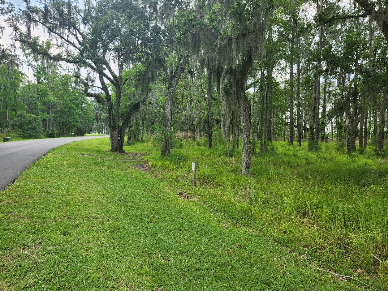 0 Bridal Path Boulevard Hardeeville, SC 29927 - Photo 7 of 36 20230608_150523