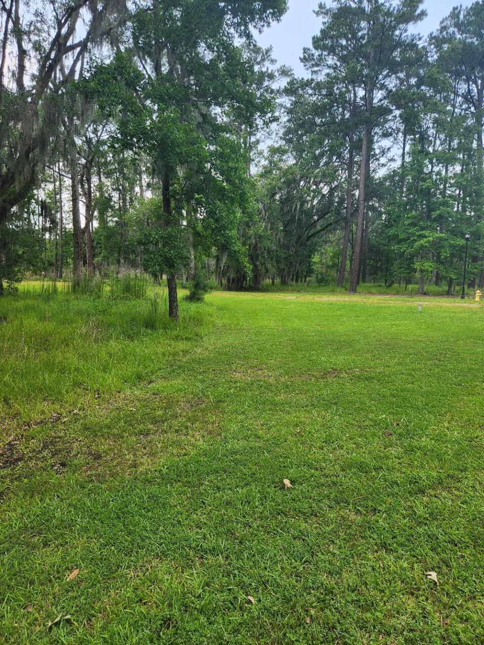 0 Bridal Path Boulevard Hardeeville, SC 29927 - Photo 8 of 36 20230608_150547