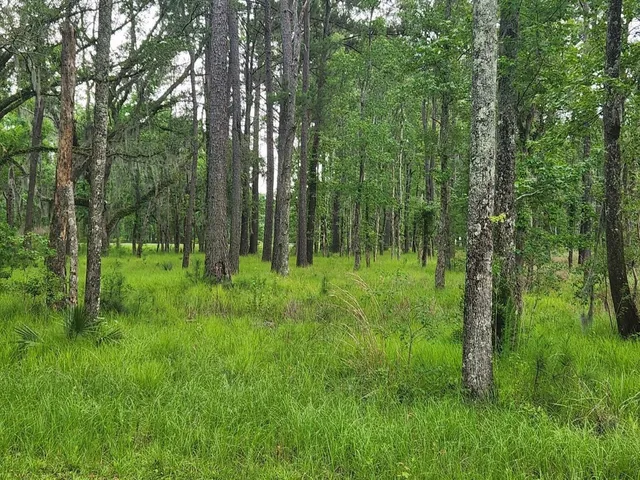 $155,000 | 0 Bridal Path Boulevard, Hardeeville, SC 29927