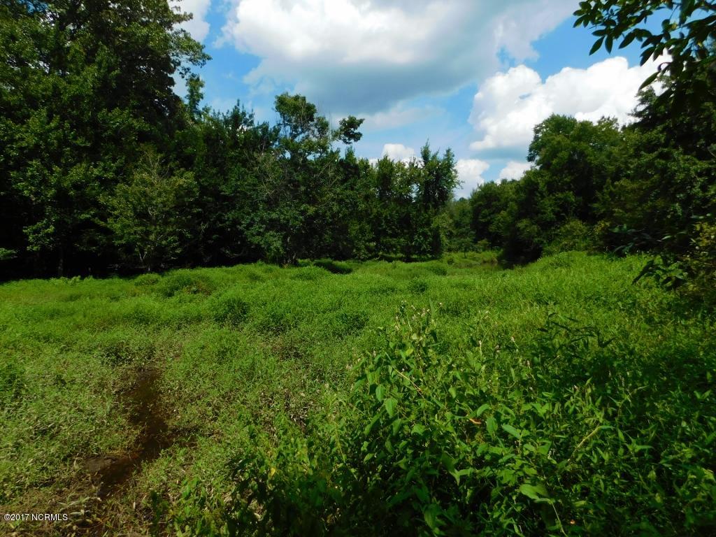 128.25 Ac Off Alton Road Lucama, NC 27851 - Photo 45 of 48 41 (1024x768)