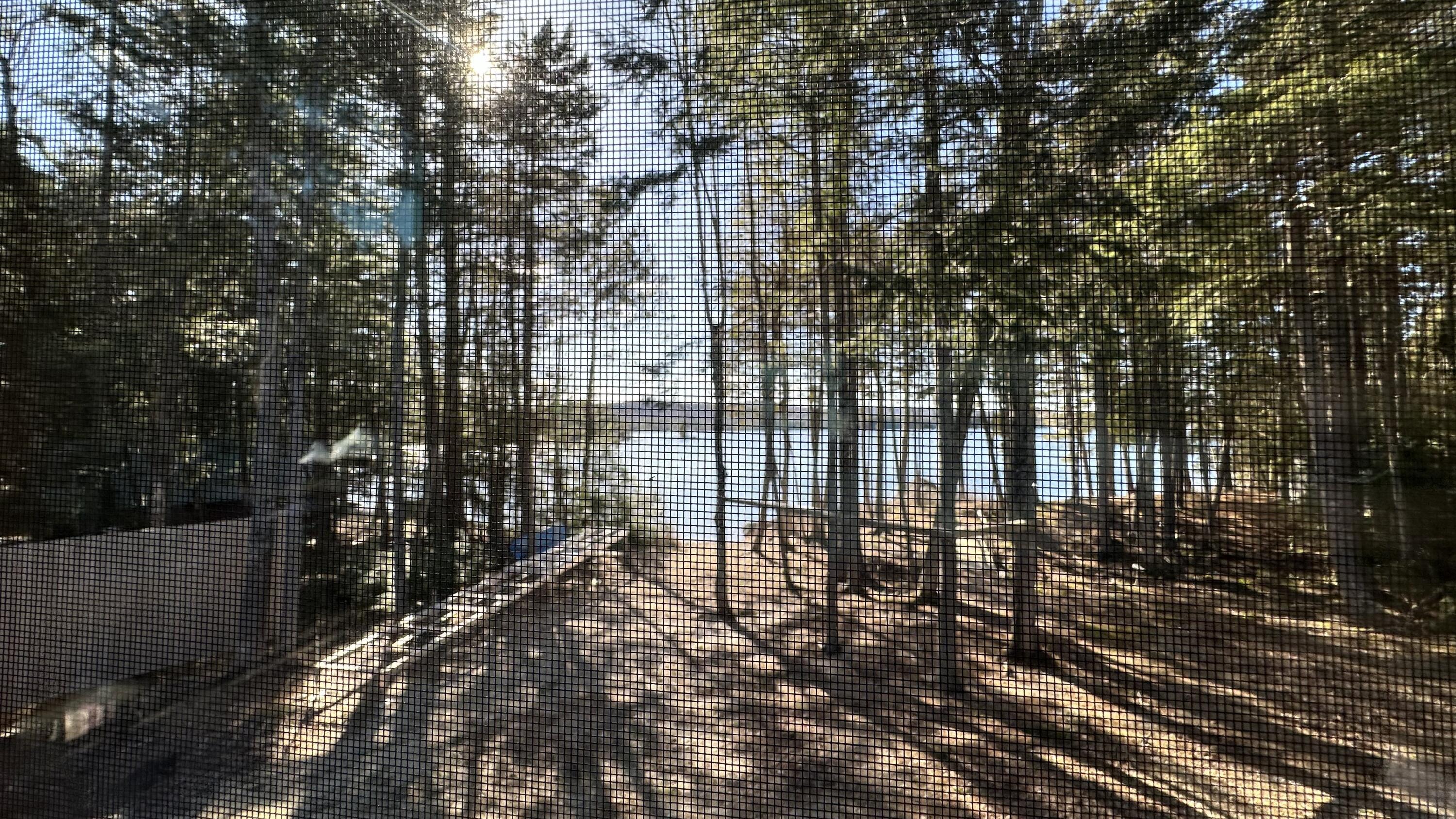 68 Shore Road Beddington, ME 04622 - Photo 60 of 105 68 Shore Road