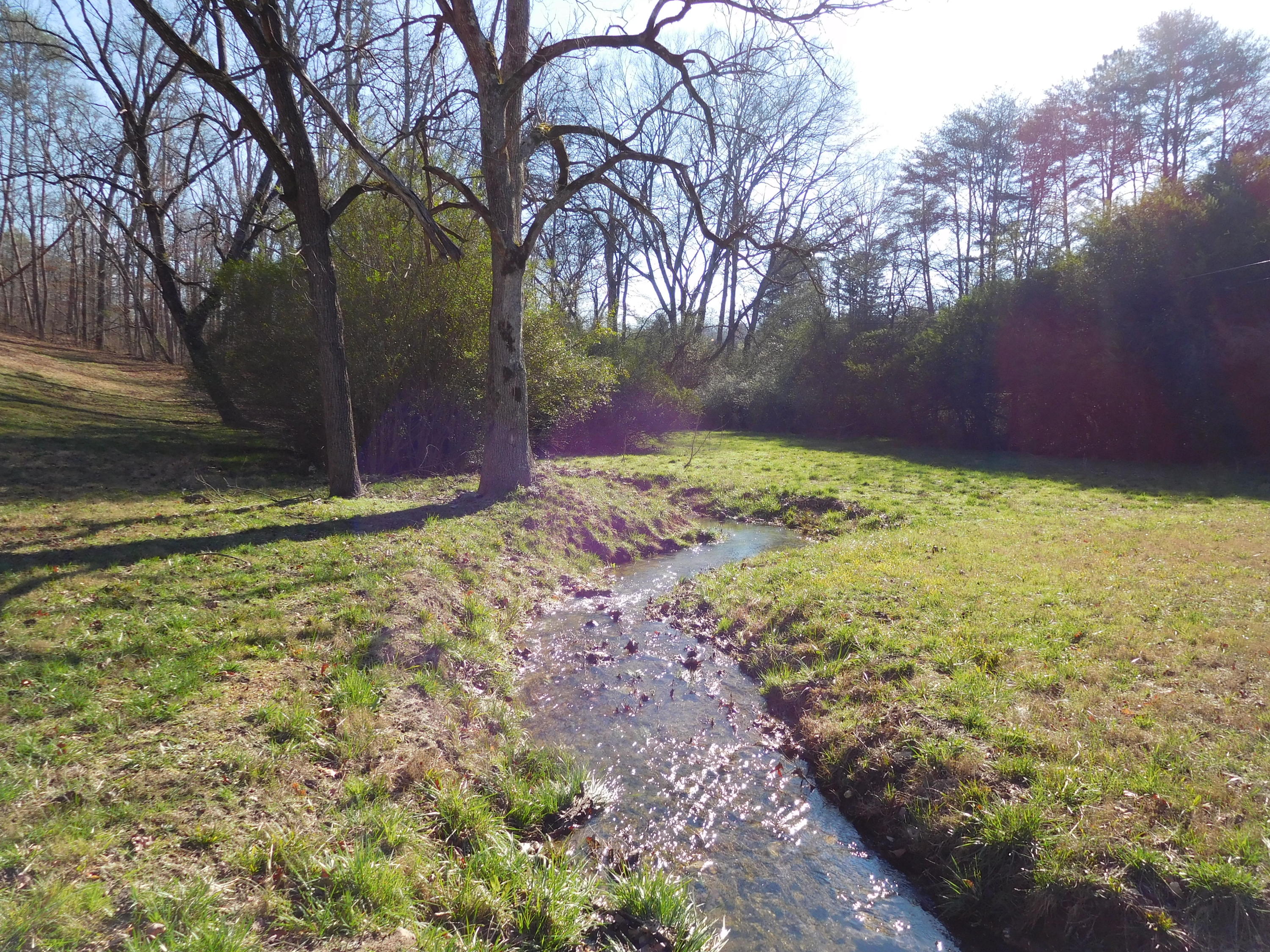 7505 Runyan Road Georgetown, TN 37336 - Photo 3 of 39 DSCN1011